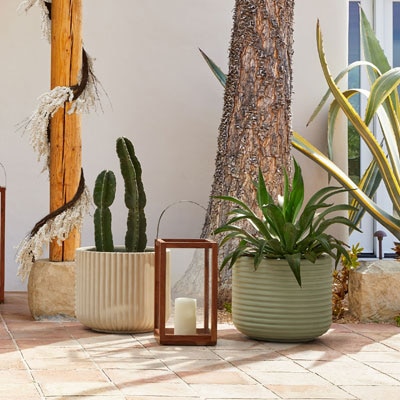 Decoración de Exterior